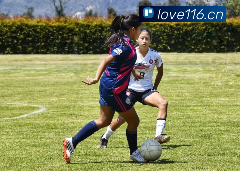 开云在线官网登录入口平台生态图