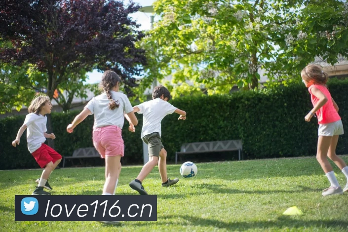 开云在线官网登录入口全站App